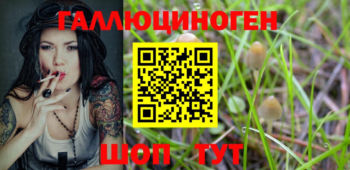 Псилоцибиновые грибы мухоморы Балаково
